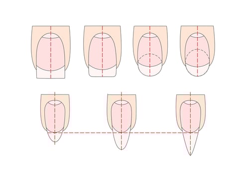 Manicure instruction. Nails vector illustrations. Lady fingers.
