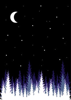 Night illustration with moon and trees firs. Sunlight, night. vector