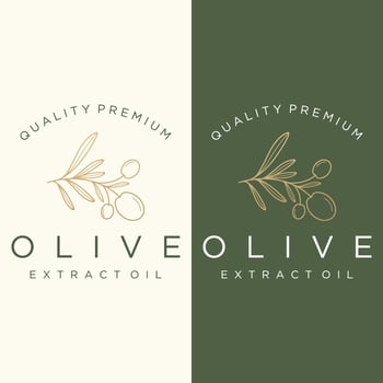 Botanical logo template Hand drawn natural olive leaf and fruit .Herbal, olive oil,cosmetic or beauty. vector