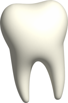 3d illustration of tooth png