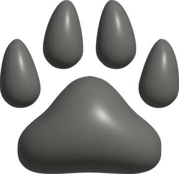 3d illustration of paw prints png