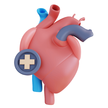 3d illustration of a healthy heart png