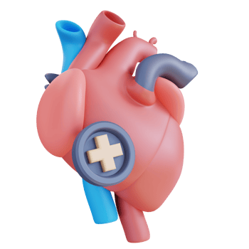 3d illustration of a healthy heart png