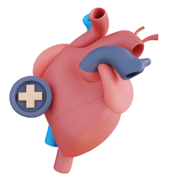 3d illustration of a healthy heart png