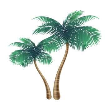 Two coconut trees, small and large. png