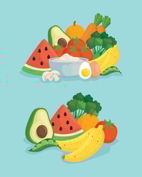 banner with vegetables and fresh fruits, concept healthy food vector