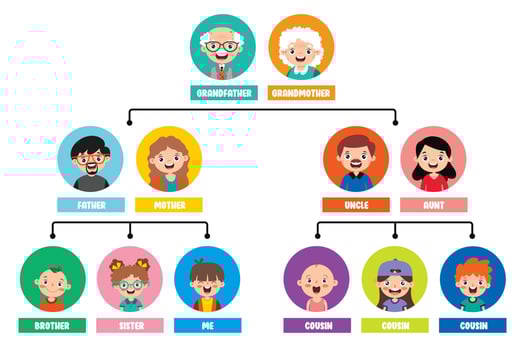 Flat Drawing Of Various Photo Frames vector