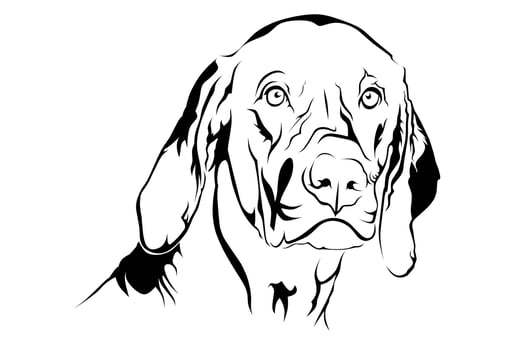 pet dog line art vector image