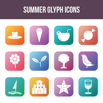 Unique summer vector glyph icon set