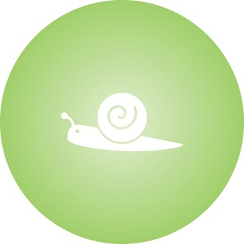 Unique Snail Glyph Vector Icon