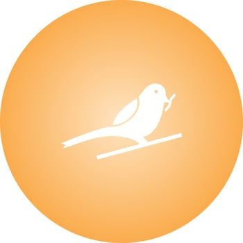 Unique Sparrow Eating insect Vector Glyph Icon