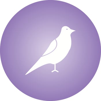 Unique Bird Vector Glyph Icon
