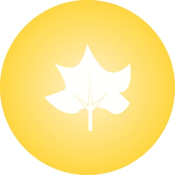Unique Leaf Vector Glyph Icon