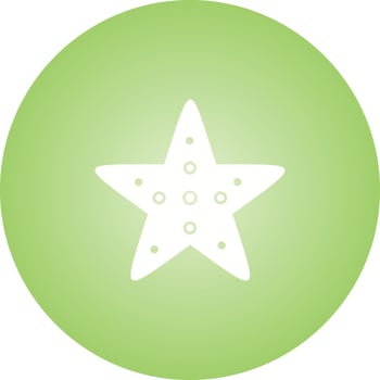 Unique Starfish Vector Glyph Icon
