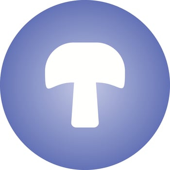 Unique Mushroom Vector Glyph Icon