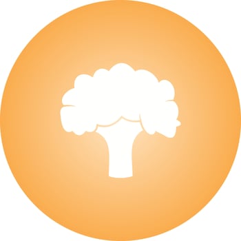 Unique Broccoli Vector Glyph Icon