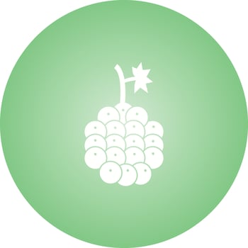 Unique Raspberry Vector Glyph Icon