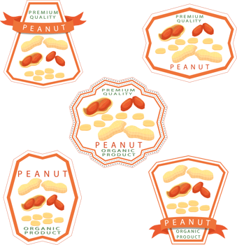 Sweet juicy tasty natural eco product nut png