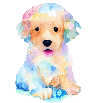 puppy on white, dog png