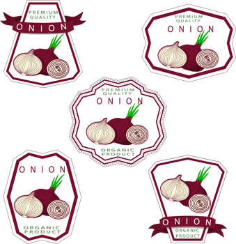 Sweet juicy tasty natural eco product onion png