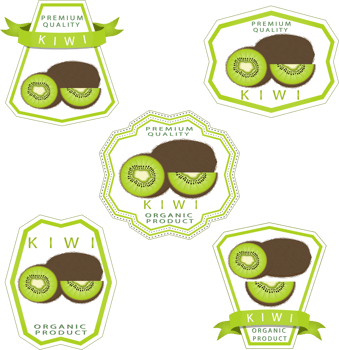 Sweet juicy tasty natural eco product kiwi png
