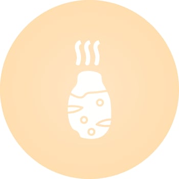 Roasted Potato Vector Icon