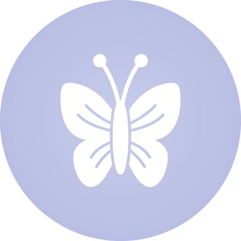 Butterfly Vector Icon