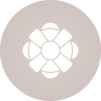 Lifesaver Vector Icon