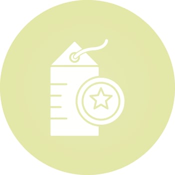 Tag Vector Icon