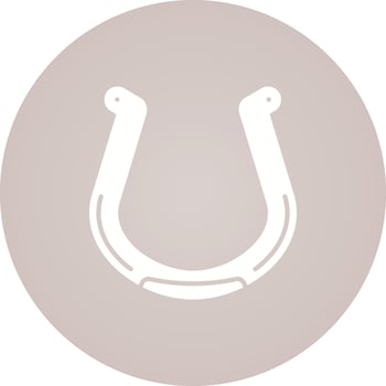 Horseshoe Vector Icon
