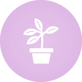 Plant Vector Icon