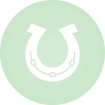 Horse Shoe Vector Icon