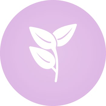 Leaves Vector Icon