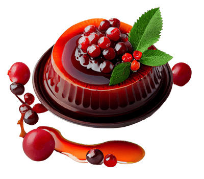 delicious Cranberry sauce with bits. png