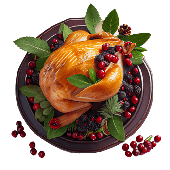 delicious Grilled chicken cutout png