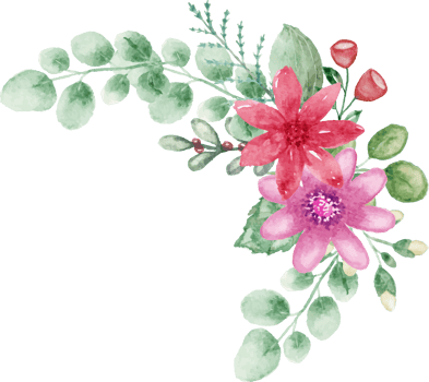 watercolor spring flowers and leaves on a transparent background png