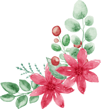 watercolor christmas flowers and leaves on transparent background png