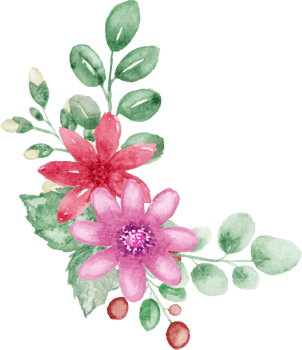 watercolor flowers and leaves on transparent background png