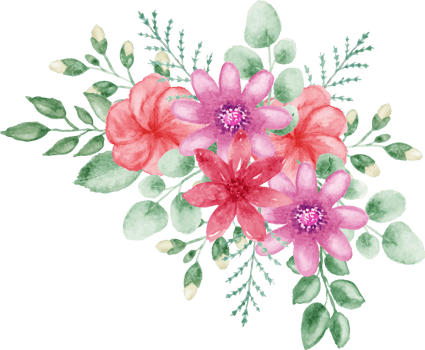 hand drawn of watercolor pink and red flowers png