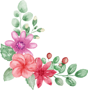 watercolor flowers and leaves arrangement png