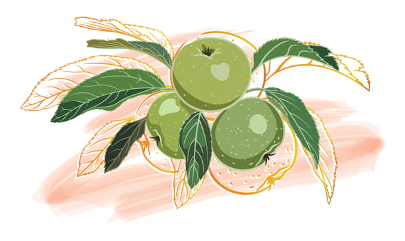 composition of green apples with leaves, golden outline, on a colored background vector