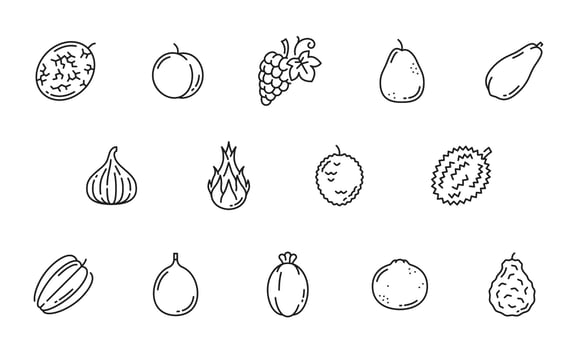 Raw exotic fruit line icons, outline pictograms vector