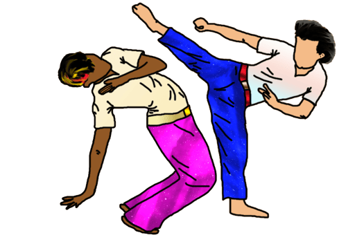 step martial art from brazil png