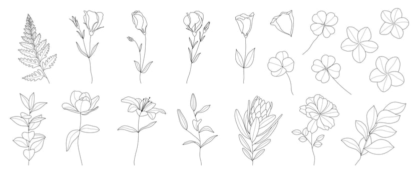 Set of hand drawn botanical flowers line art vector. Collection of black white drawing contour simple rose, lily flowers, clover. Design illustration for print, logo, cosmetic, poster, card, branding. vector