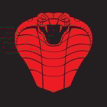 Snake head illustration vector