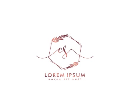 Initial CS Feminine logo beauty monogram and elegant logo design, handwriting logo of initial signature, wedding, fashion, floral and botanical with creative template vector