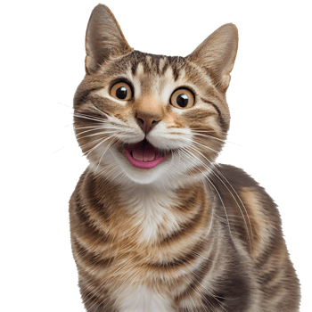 happy cat transparent background png