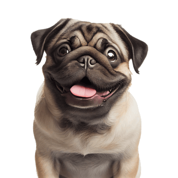 happy dog transparent background png