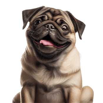 happy dog transparent background png