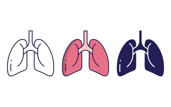 Human Lungs icon vector